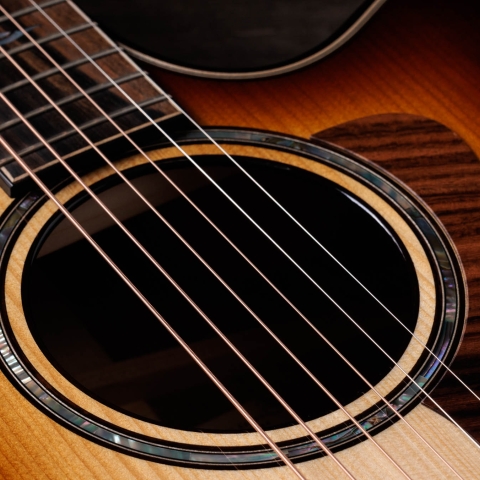 Taylor エレクトリックアコースティックギター ブラック アコースティックギター | Taylor Guitars